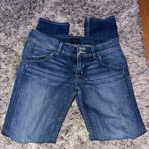 Hudson Blue Jeans with Medium Wash and Casual Appeal
